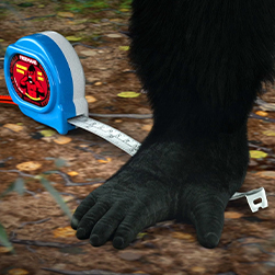 The New FREEMANS® GORILLA Measuring Tape with Zinc Rivet